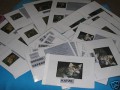 Lese�bungen zu Tiger, Katze, Gepard, L�we, Luchs (DOWNLOAD)