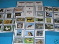 Tiere Europas (DOWNLOAD)