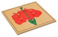 Puzzlekarte - Die Bl�te