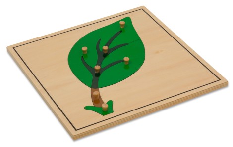 Puzzlekarte - Das Laubblatt Puzzlekarte - Das Laubblatt