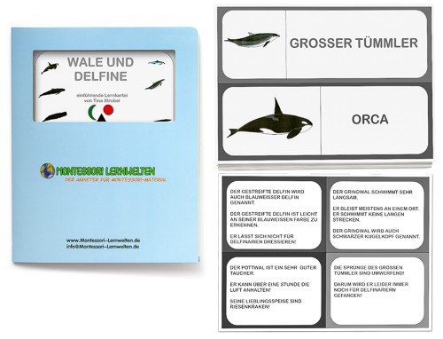 Einführende Lernkartei - Wale und Delfine